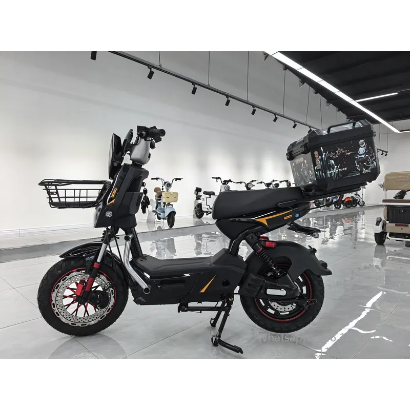 중국산 60V 전기 스쿠터, 시티 자전거, 750W,  - Electric Scooter Adults 리뷰 및 가격